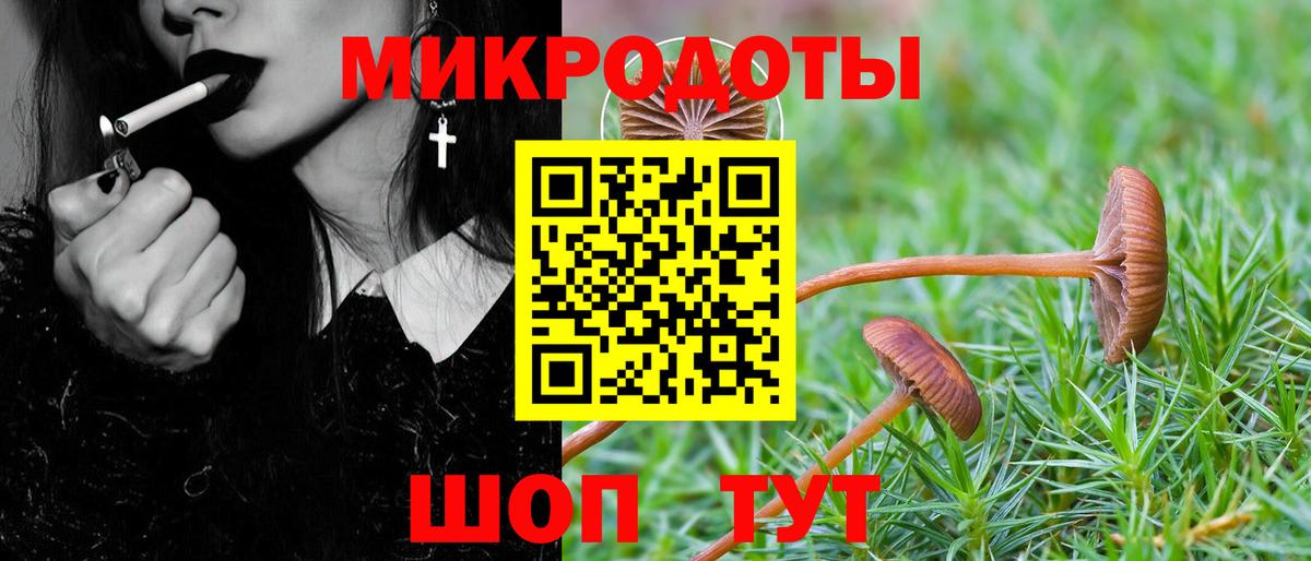 Галлюциногенные грибы прущие грибы  Галлюциногенные грибы GOLDEN TEACHER  Вход с VPN  Астрахань 