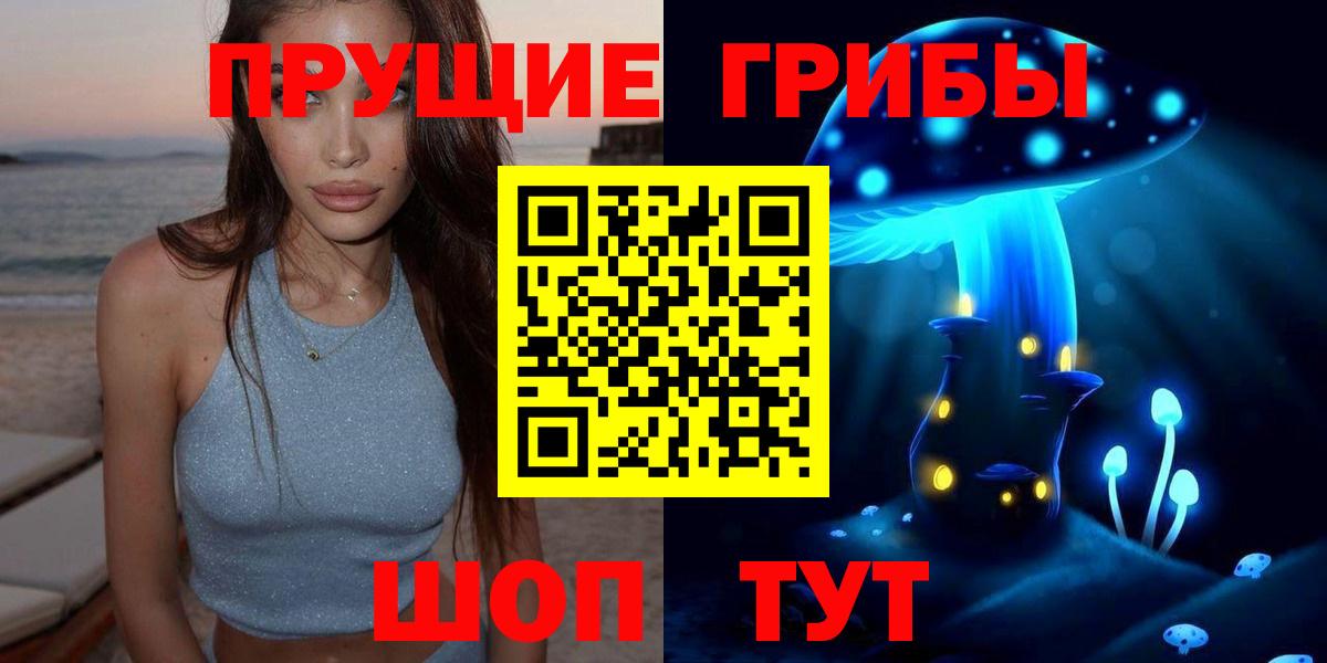 Галлюциногенные грибы Psilocybe Астрахань